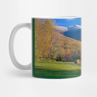 Three Seasons Mug